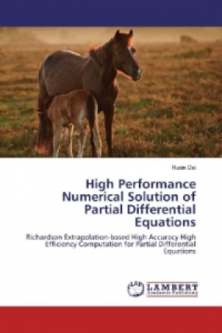 High Performance Numerical Solution of Partial Differential Equations