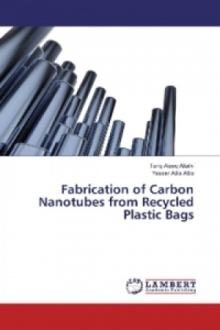 Fabrication of Carbon Nanotubes from Recycled Plastic Bags
