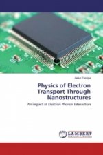 Physics of Electron Transport Through Nanostructures