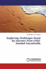 Exploring challenges faced by learners from child-headed households