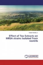 Effect of Tea Extracts on MRSA strains isolated from nostrils