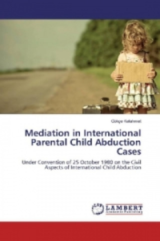 Mediation in International Parental Child Abduction Cases