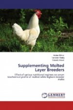 Supplementing Molted Layer Breeders