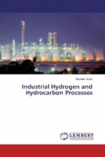 Industrial Hydrogen and Hydrocarbon Processes