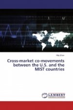 Cross-market co-movements between the U.S. and the MIST countries