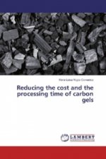 Reducing the cost and the processing time of carbon gels