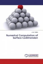 Numerical Computation of Surface Codimension