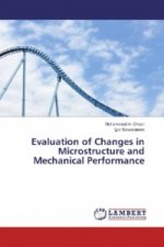 Evaluation of Changes in Microstructure and Mechanical Performance