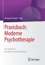 Praxisbuch: Moderne Psychotherapie