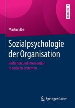 Sozialpsychologie Der Organisation