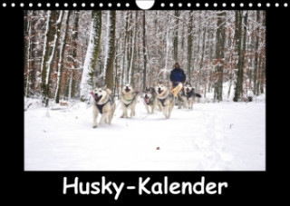 Husky-Kalender (Wandkalender 2017 DIN A4 quer)