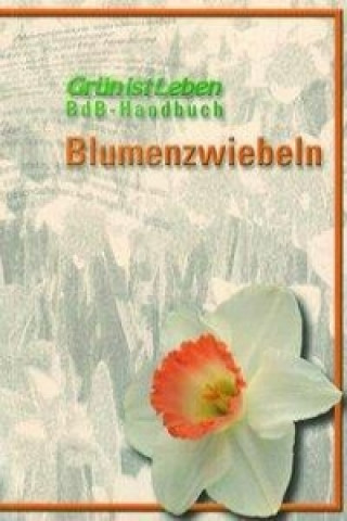 Blumenzwiebeln