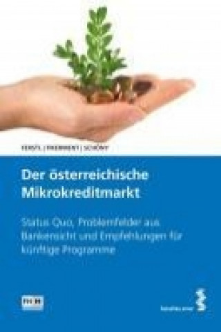 Der österreichische Mikrokreditmarkt