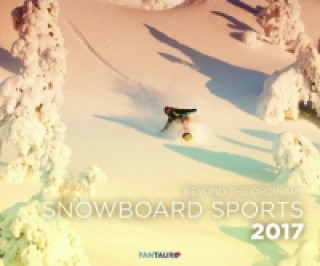 Snowboard Sports 2017