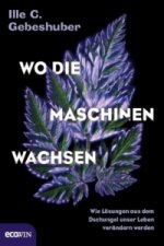 Wo die Maschinen wachsen