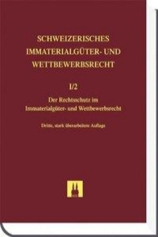 Rechtsschutz im Immaterialgüter-  und Wettbewerbsrecht