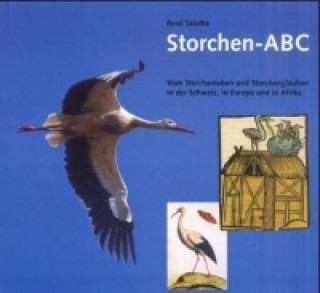 Storchen ABC