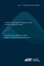 Decentralized Energy Systems, Market Integration, Optimization: Project Report