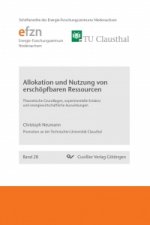 Allokation und Nutzung von erschöpfbaren Ressourcen. Theoretische Grundlagen, experimentelle Evidenz und energiewirtschaftliche Auswirkungen