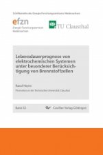 Lebensdauerprognose von elektrochemischen Systemen unter besonderer Berücksichtigung von Brennstoffzellen