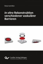 In vitro Rekonstruktion verschiedener vaskulärer Barrieren