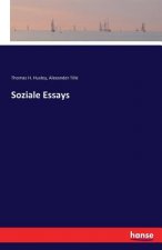 Soziale Essays