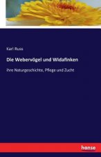 Webervoegel und Widafinken