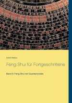 Feng Shui fur Fortgeschrittene