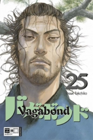 Vagabond 25