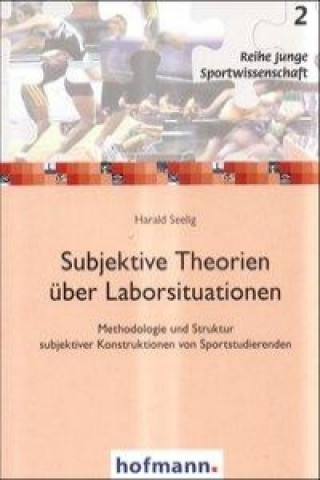 Subjektive Theorien über Laborsituationen