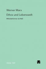 Ethos und Lebenswelt