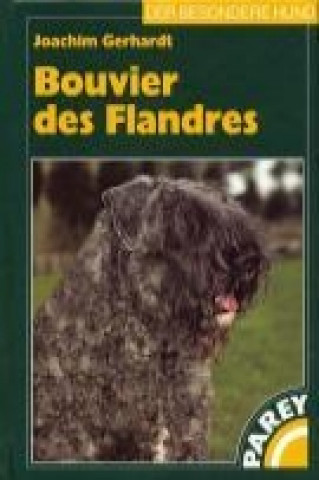 Bouvier des Flandres