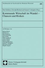 Kommunale Wirtschaft im Wandel - Chancen und Risiken