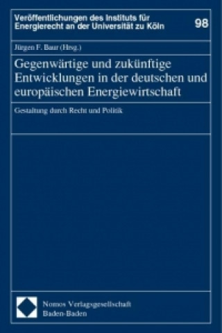 Gegenwärtige und zukünftige Entwicklungen in der deutschen und europäischen Energiewirtschaft