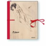 Erotisches Skizzenbuch: Picasso