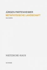 Partenheimer, J: Metaphysische Landschaft