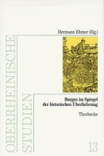 Burgen im Spiegel der historischen Überlieferung