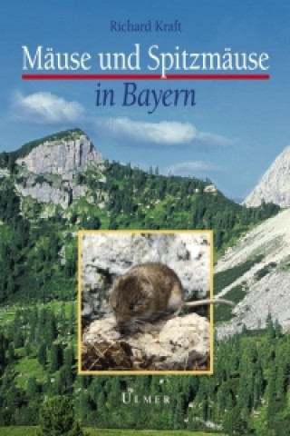Mäuse und Spitzmäuse in Bayern