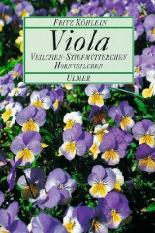 Viola