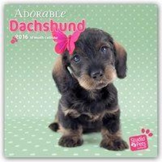German Shepherds - Deutsche Schäferhunde 2017 - 18-Monatskalender