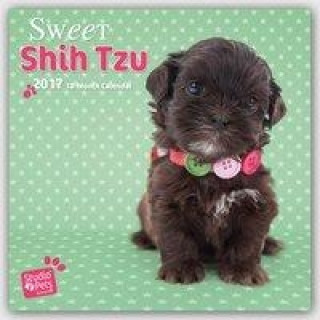 Sweet Shitzu - Shih Tzu 2017 - 18-Monatskalender