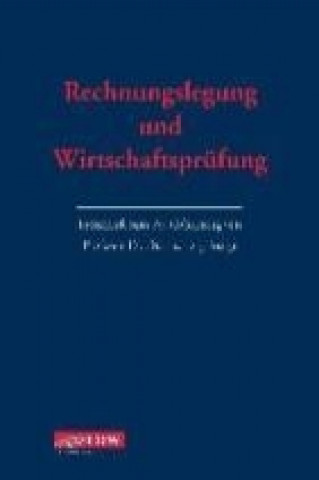 Rechnungslegung und Wirtschaftsprüfung