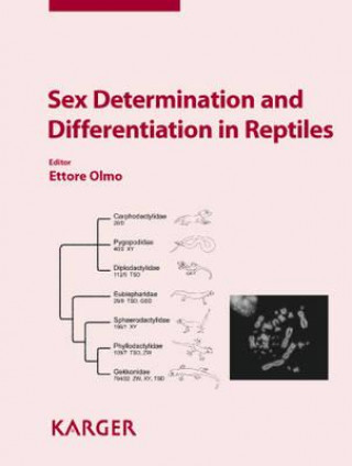 Sex Determination and Differentiation in Reptiles