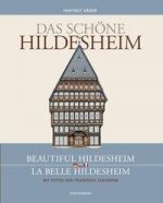 Das schöne Hildesheim / Beautiful Hildesheim / La belle Hildesheim