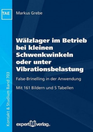 False-Brinelling und Stillstandsmarkierungen bei Wälzlagern