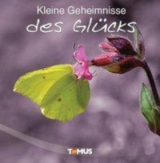 Kleine Geheimnisse  des Glücks