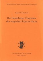 Die Heidelberger Fragmente des Magischen Papyrus Harris