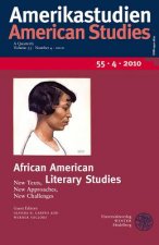 African American Literary Studies