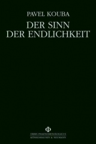 Der Sinn der Endlichkeit