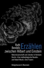 Erzählen zwischen Hilbert und Einstein